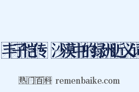 丰子恺传·沙漠中的绿洲近义词是什么意思的图片